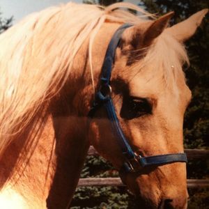 Meet your Posher, Renee